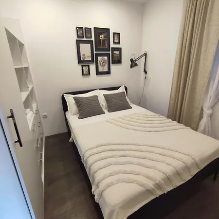 Sunflower By Rv Varna