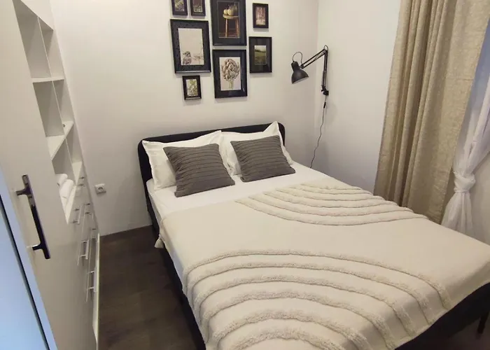 Sunflower By Rv Warna