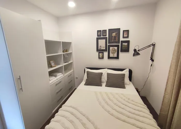 Sunflower By Rv * Varna